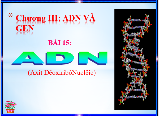 BÀI 15- ADN